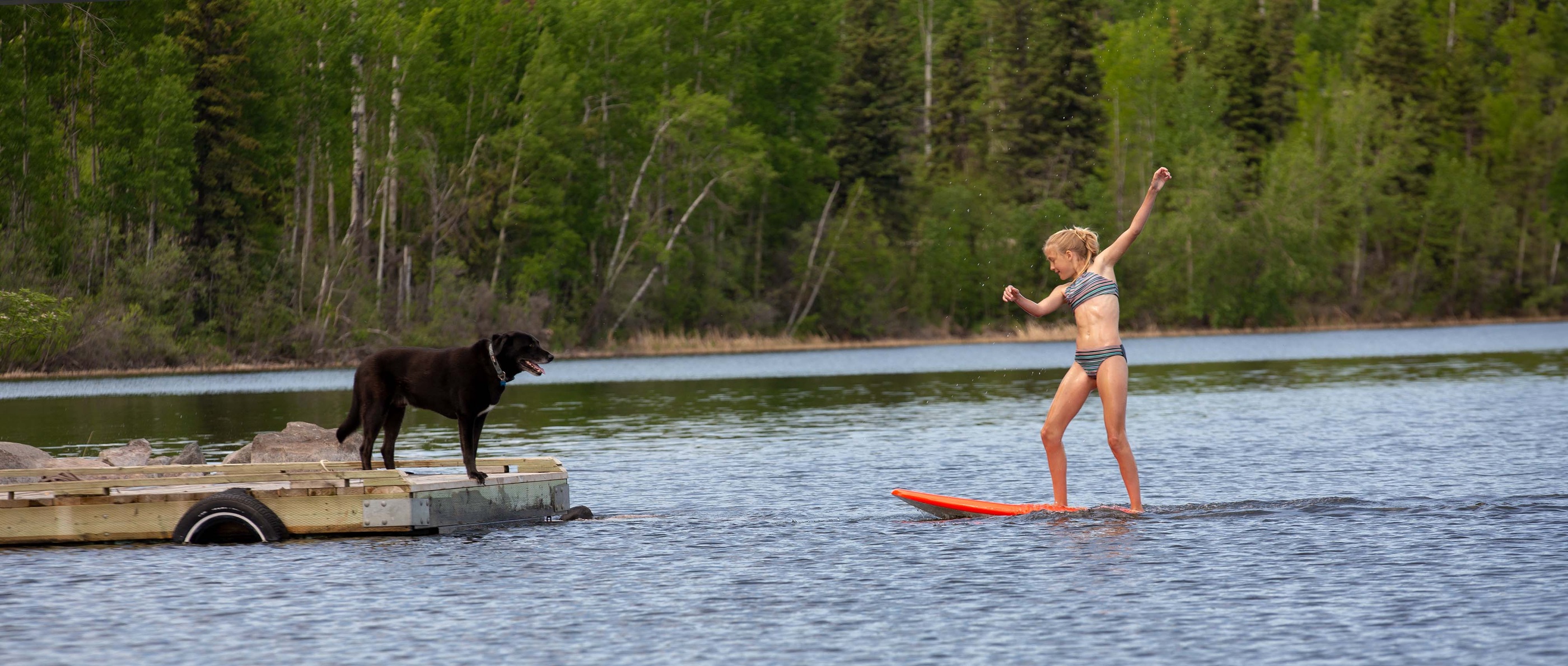 Girl paddleboarding on a lake with a dog watching — photography by Karee Davidson